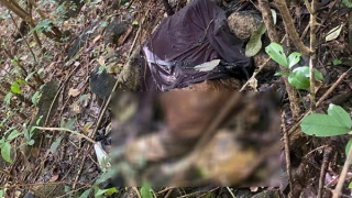 Phát hiện một thi thể đang phân hủy trên núi ở Vũng Tàu