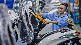 EVFTA tròn 5 tuổi: Việt Nam trở thành đối tác thương mại hàng đầu của EU tại ASEAN