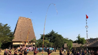 Các bảo tàng thuộc Bộ Văn hoá, Thể thao & Du lịch mở cửa miễn phí dịp 2/9