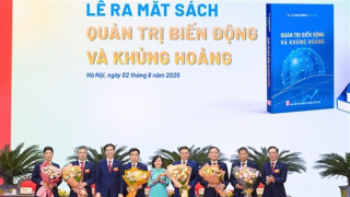 Quản trị biến động: Từ kinh nghiệm sống động đến lý luận nền tảng