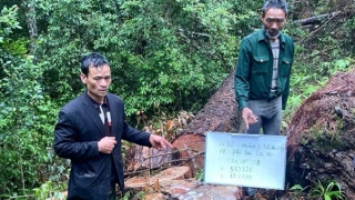 Bắt 4 lâm tặc sau phản ánh của Báo CAND