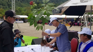 Lần đầu tiên cấp xã tổ chức Lễ hội sâm Ngọc Linh tại Đà Nẵng