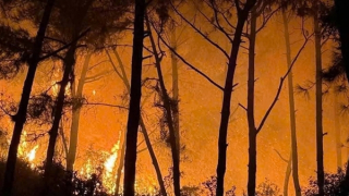 Hơn 400 người xuyên đêm dập lửa cứu rừng