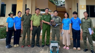Công an xã kịp thời cứu hộ tê tê Java quý hiếm