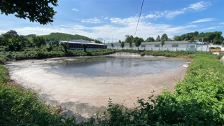 Cụm trang trại chăn nuôi lợn bị phạt hơn 1 tỷ đồng vì gây ô nhiễm môi trường