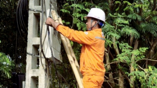 Tiền điện tăng gấp 8 lần vì nhà mạng viễn thông treo dây tín hiệu lên cột điện không đúng quy cách