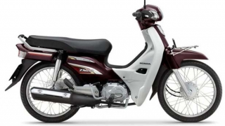 Tìm chủ sở hữu xe máy