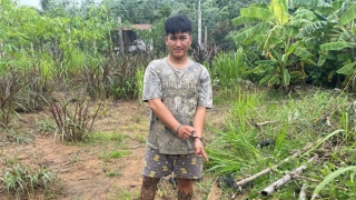 Khởi tố đối tượng sử dụng trái phép chất ma túy