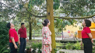 Agribank chi nhánh Hậu Giang: Điểm tựa vững chắc cho nông dân phát triển cây sầu riêng bền vững