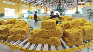 VRG vững vàng trên con đường xanh hóa