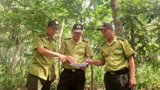 Gian nan cuộc chiến bảo vệ rừng đặc dụng Krông Trai