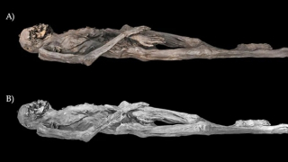 Hình xăm lạ trên xác ướp 2.000 năm tuổi