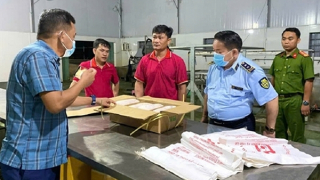 Bắt giữ, tiêu hủy hơn 100 tấn heo đông lạnh đã bốc mùi, nổi đốm trên da