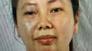 Khởi tố 31 đối tượng trong vụ tổ chức “bay lắc” tại quán Karaoke Hoàng Kim