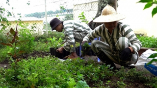 Niềm vui trước ngày đặc xá