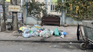 Lộ trình cấm sử dụng túi nilon và đồ nhựa dùng một lần: Quyết tâm xây dựng cuộc sống xanh, bền vững