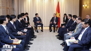 Tổng Bí thư Tô Lâm tiếp Chủ tịch Nhóm Nghị sỹ hữu nghị Hàn Quốc-Việt Nam