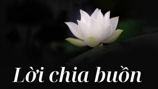 Lời chia buồn tới gia đình Thượng tá Đặng Thị Huyền