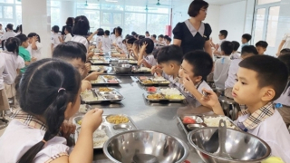Hà Nội chính thức hỗ trợ ăn trưa cho học sinh tiểu học