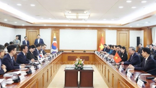 Thúc đẩy hợp tác kinh tế, tạo chất keo gắn kết lợi ích bền chặt Việt Nam - Hàn Quốc