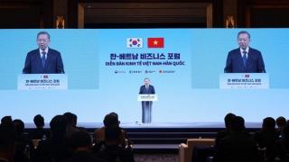 Việt Nam-Hàn Quốc hợp tác phát triển chuỗi sản xuất trong kỷ nguyên mới