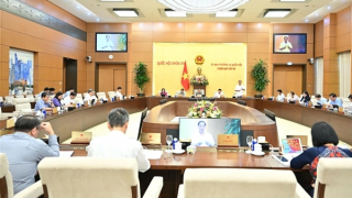 Tranh luận việc Quốc hội tổ chức Đoàn giám sát chuyên đề