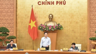 Quyết tâm cao nhất để tổ chức thành công Triển lãm 80 năm Quốc khánh