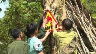 Nhiều điểm du lịch nằm giáp ranh khu vực có nguy cơ cháy rừng cao