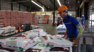 Áp thuế thức ăn chăn nuôi thiếu thống nhất khiến ngành chăn nuôi gặp khó