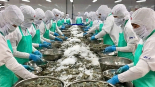 Tìm đầu ra mới cho các mặt hàng gặp khó tại Mỹ