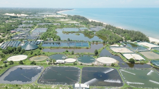 Cần xem xét khách quan, toàn diện việc thu hồi đất ở Dự án khu công nghiệp Sơn Mỹ