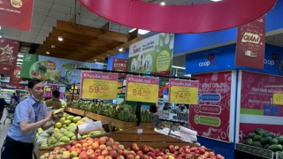 Doanh nghiệp rau quả thích ứng linh hoạt với thuế đối ứng của Mỹ