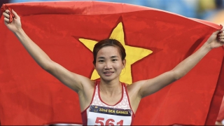 Bàn về chế độ của vận động viên thể thao đỉnh cao