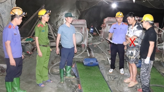 Quyết liệt đấu tranh với tội phạm kinh tế, môi trường trên địa bàn Sơn La