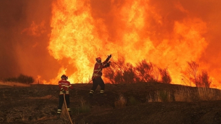 Cháy rừng tàn phá miền Nam châu Âu: Hàng nghìn người di tản, nhiều lính cứu hỏa thiệt mạng