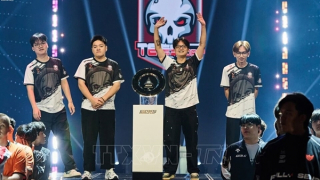 Thể thao điện tử Việt Nam tạo dấu ấn tại sân chơi quốc tế