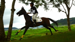 20 chú ngựa tung vó tranh tài tại giải vượt địa hình năm 2025