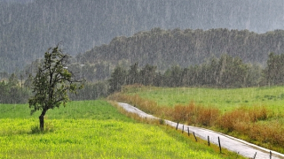 Đông Bắc Bộ, Thanh Hóa và Nghệ An mưa tầm tã