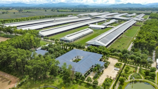 Vinamilk được xếp hạng sức mạnh thương hiệu xuất sắc, vượt trội toàn cầu