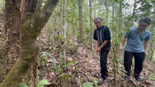 Mối họa tiềm ẩn từ những khẩu súng tự chế