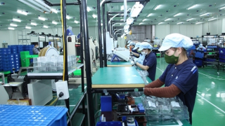 Tiến hành tổng điều tra kinh tế từ ngày 5/1/2026