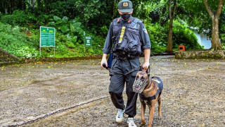 Tìm thấy thi thể nam du khách mất tích tại Vườn quốc gia Cúc Phương