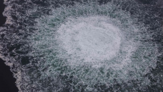 Italia bắt giữ một nghi phạm người Ukraine trong vụ phá hoại Nord Stream