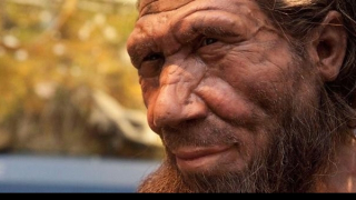 Vì sao người Neanderthal có gen di truyền đến con người hiện đại?