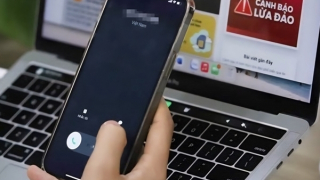 Dùng hình ảnh phụ nữ gợi cảm đăng lên các trang web mại dâm để lừa tiền