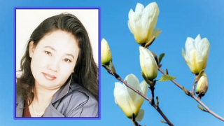 Phạm Hồ Thu: Giữa trữ tình truyền thống và thơ tự do