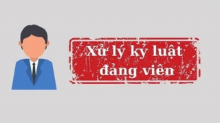 Bộ Chính trị, Ban Bí thư thi hành kỷ luật đảng viên vi phạm