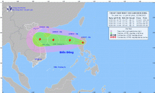 Khẩn trương ứng phó với áp thấp nhiệt đới khả năng mạnh lên thành bão