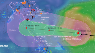 Các tỉnh từ Quảng Ninh đến Quảng Ngãi huy động cả hệ thống chính trị ứng phó bão số 5