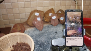 Ổ nhóm livestream bán đá “đổ thạch” chiếm đoạt hơn 10 tỷ đồng